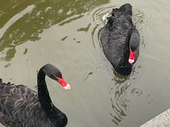 -五台山南京工业大学游泳馆(江浦馆)