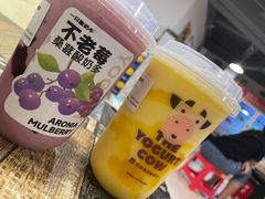 芒来芒去酸奶多-一只酸奶牛(曲江龙湖星悦荟店)