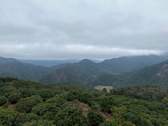 -广州市石门国家森林公园