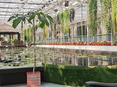 -常州花鸟园酒店(西太湖品牌优选店)