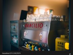 -Punchline Coffee&Roaster(同济大学店)