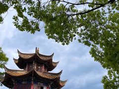 -翠湖公园
