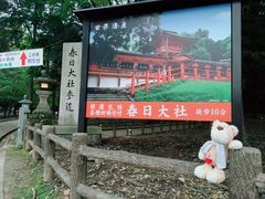 -奈良公园