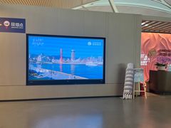 -上海浦东国际机场-T2航站楼