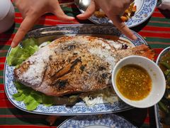 -卷心菜和避孕套餐厅(Pattaya)