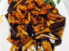 -金蝉食府(维吉奥广场店)