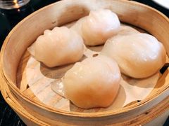 -高第街56号餐厅(泰安万达店)