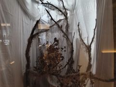 -三联韬奋书店(宽窄巷子店)