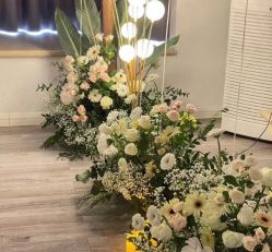 -迈瑞米求婚策划(静安店)