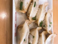 鲜肉锅贴-小姜锅贴(凤凰街店)