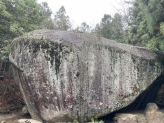 -大围山国家森林公园
