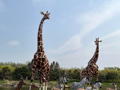 -北京野生动物园