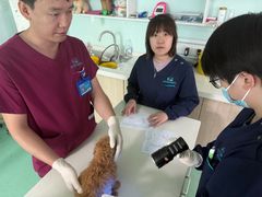 -北京观赏动物医院·24小时大型综合·猫专科·异宠专科