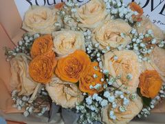 -极动室内恒温游泳馆