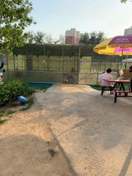 -萌宠亲子动物乐园(槐房万达店)