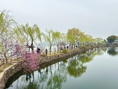 -无锡蠡湖国家湿地公园-蠡园
