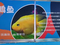 -沙沙哗啦海洋馆(华宇百花谷店)