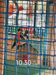 -寻石问宝研学亲子乐园(朝阳公园店)