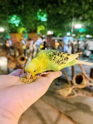 点击看大图 -酷嗒动物文化乐园(cutezoo西溪乐天城店)