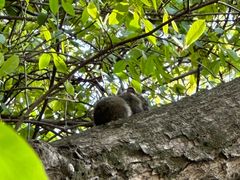 -终南山南五台景区
