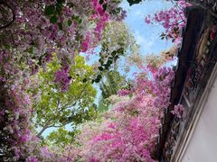 -深圳国际园林花卉博览园