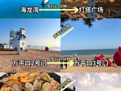-日照海滨国家森林公园