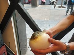 -肆月河豚·新淮扬(金融街店)