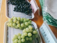 -白鹿原葡萄主题公园
