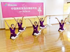 -美育音乐舞蹈国际机构(唯盛校区)