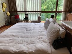 -中铁花水湾温泉酒店(大邑店)