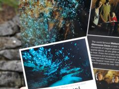 -怀托摩萤火虫洞