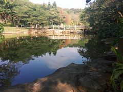 -云溪植物园