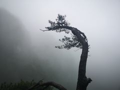-大明山自然探索公园