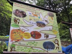 -岚山猴子公园