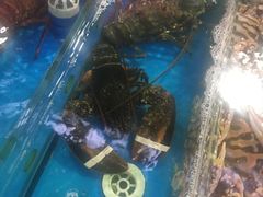 -清水湾3号(东方小周海鲜店)