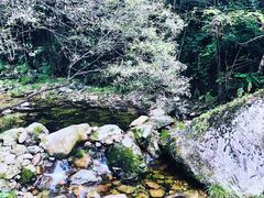 -牛背梁国家森林公园
