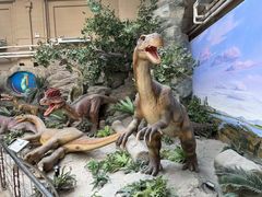 -国家自然博物馆