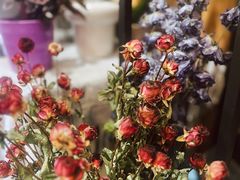 -云之南(八里庄店)