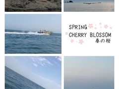 -汕尾风车岛