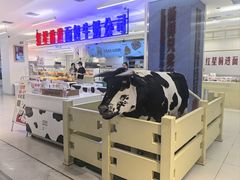 -红星前进面包牛奶公司(君太店)