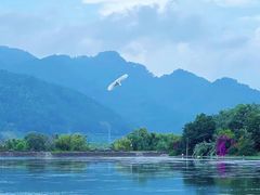 -野鸭湖国家湿地公园