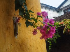 -会安古镇