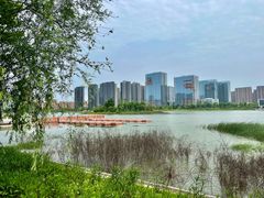 -金沙湖公园