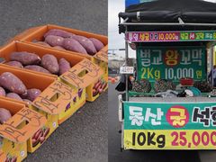 -济州五日民俗市场