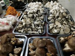 菌菇-金宝生活市场(东五环店)