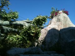 -鞍山岫岩沟汤温泉