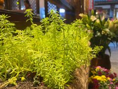 -尽善百年古院餐厅(王家老宅店)