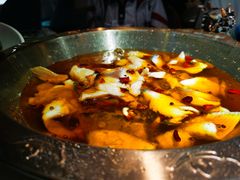 -雲蜀龙阁·金牌水煮鱼(方庄店)