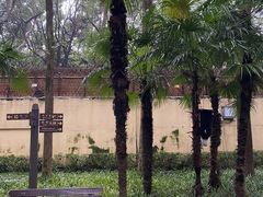 -徐家汇源景区-衡山公园