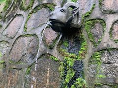 -杭州半山国家森林公园